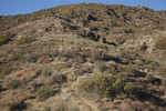 photo thumbnail #10