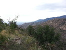 photo thumbnail #7