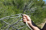 photo thumbnail #14