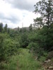 photo thumbnail #10
