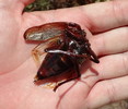 photo thumbnail #5