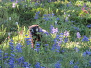 photo thumbnail #6