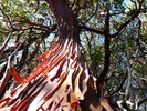 photo thumbnail #6