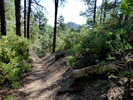 photo thumbnail #8