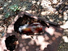 photo thumbnail #13