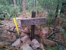 photo thumbnail #15