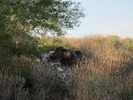 photo thumbnail #1