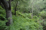 photo thumbnail #15