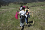 photo thumbnail #7