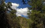 photo thumbnail #15