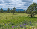 photo thumbnail #15