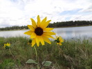 photo thumbnail #6