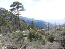 photo thumbnail #13