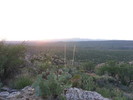 photo thumbnail #15