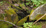 photo thumbnail #10