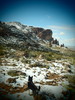 photo thumbnail #6