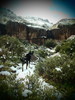 photo thumbnail #7