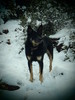 photo thumbnail #8