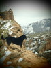 photo thumbnail #10