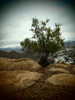 photo thumbnail #11