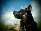 photo thumbnail #12