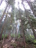 photo thumbnail #14