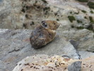 photo thumbnail #15