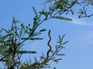 photo thumbnail #15
