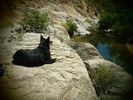 photo thumbnail #4