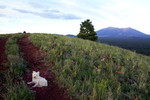 photo thumbnail #1