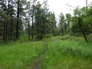 photo thumbnail #6