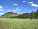 photo thumbnail #15
