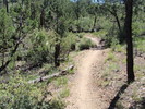 photo thumbnail #1