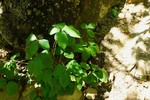 photo thumbnail #11
