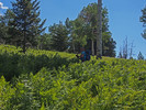 photo thumbnail #5
