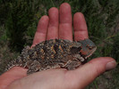 photo thumbnail #9