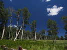 photo thumbnail #11