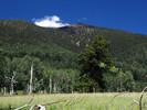photo thumbnail #12