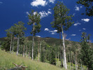 photo thumbnail #13