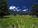 photo thumbnail #14