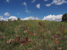 photo thumbnail #8