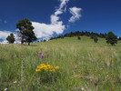 photo thumbnail #11