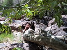 photo thumbnail #6