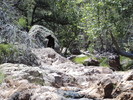 photo thumbnail #10