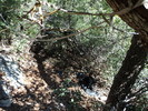 photo thumbnail #13