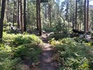 photo thumbnail #3