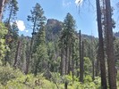 photo thumbnail #8