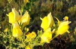 photo thumbnail #2