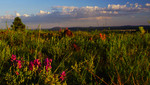 photo thumbnail #7