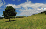 photo thumbnail #6